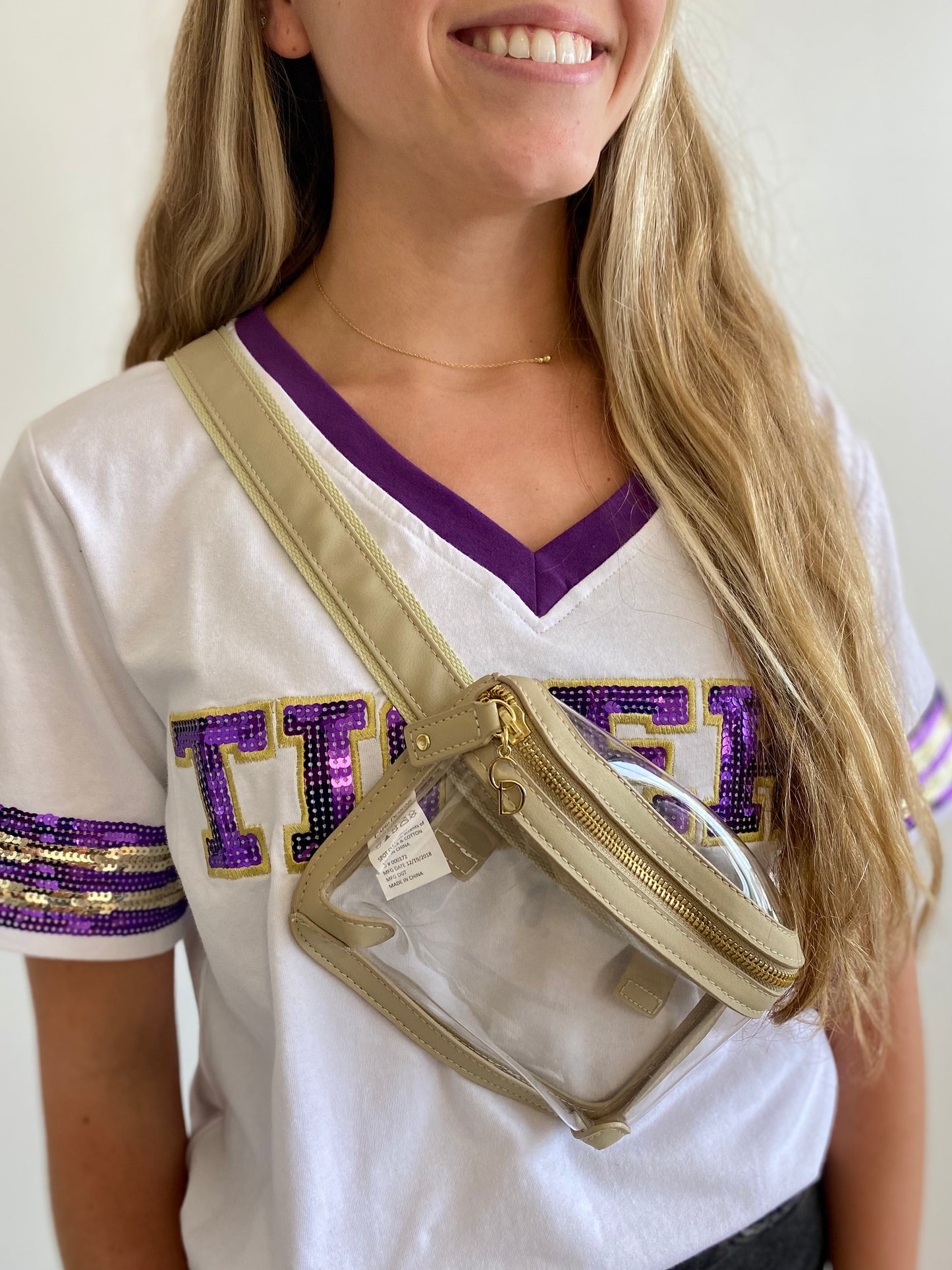 ONLINE ONLY Tan Clear Belt Bag