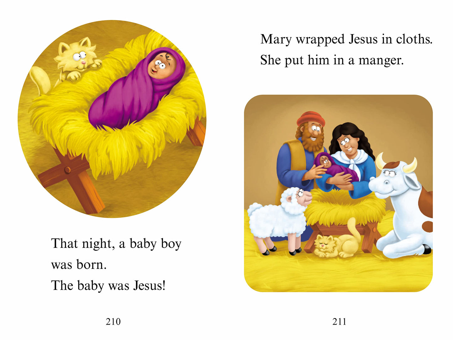 The Beginner's Bible: Read Through the Bible