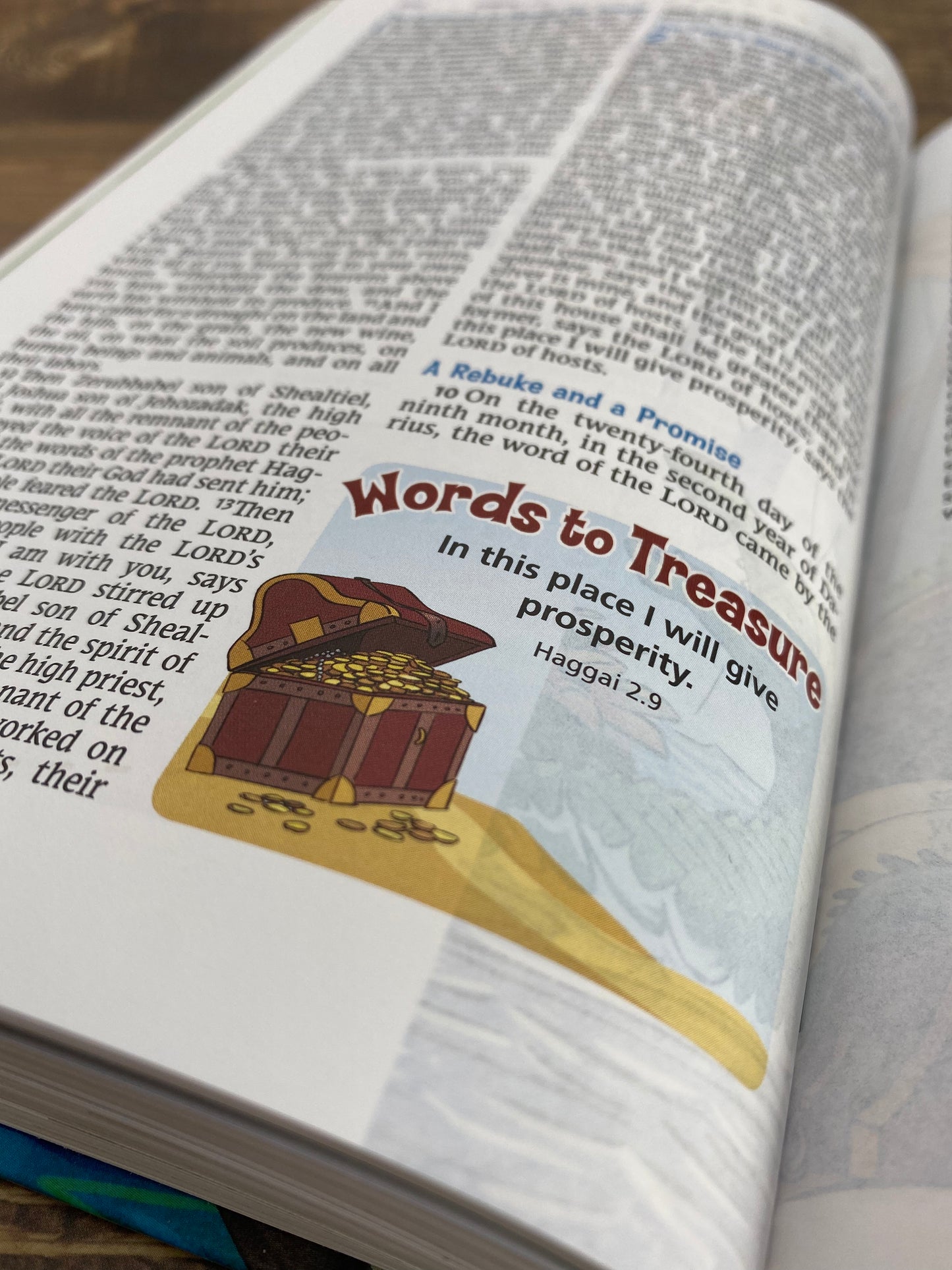 Adventure Bible